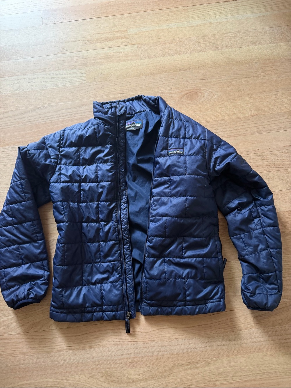 Patagonia Men's Dark Navy Quilted Puffer Jacket